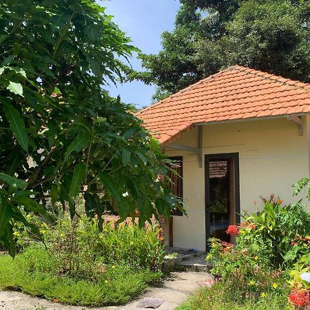 Sun & Wind Paradise Bungalow Дуонг-Донг Экстерьер фото